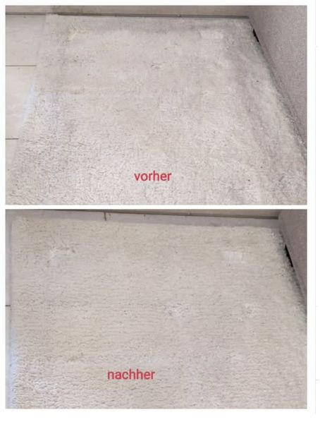 Vorwerk Kobold Staubsauger Ergebnis – Teppich vorher/nachher Nahaufnahme, Rapperswil